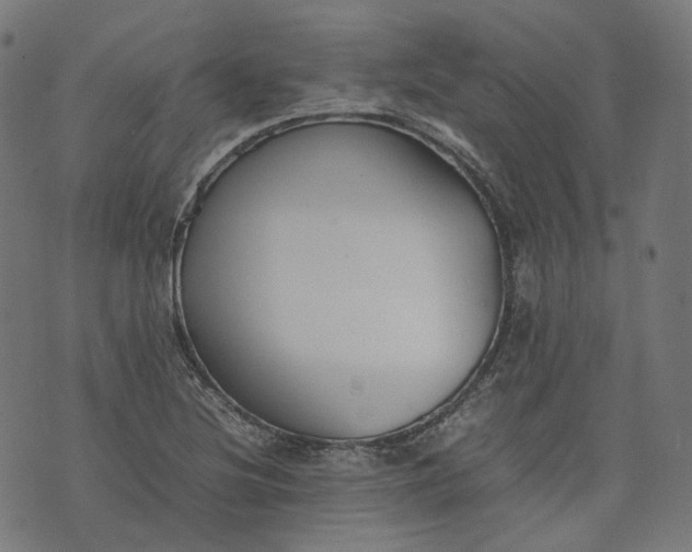 X0000074211220200609081523