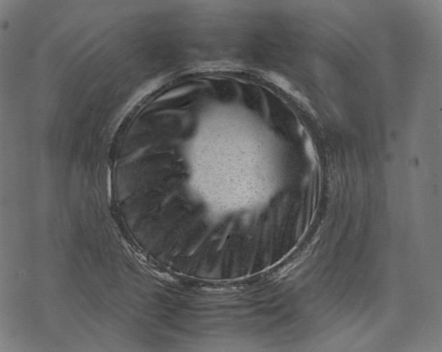 X0000074211221200609081523