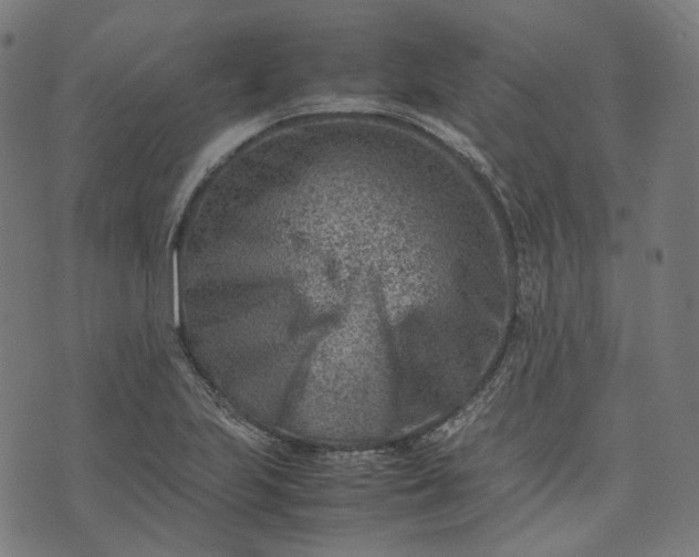 X0000074211223200609081523