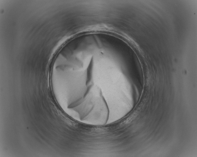 X0000074211224200609081523