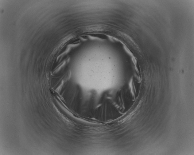 X0000074211225200609081523