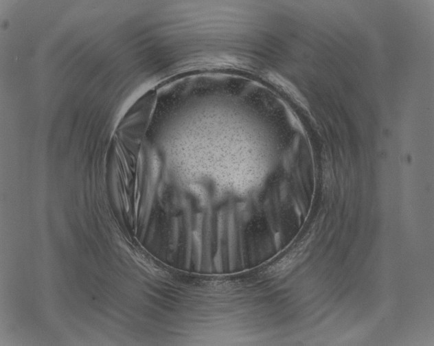 X0000074211226200609081523