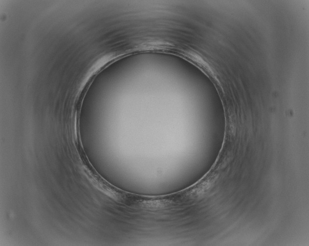 X0000074211227200609081523