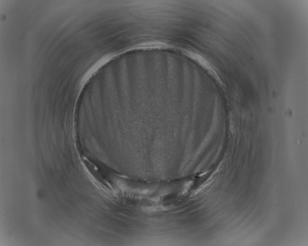 X0000074211229200609081523