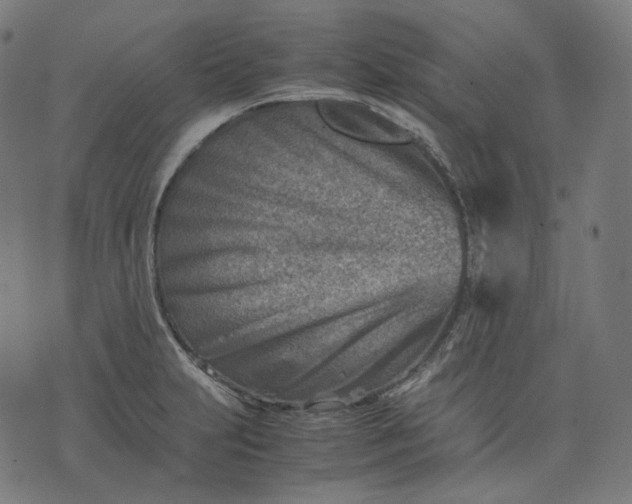 X0000074211231200609081523