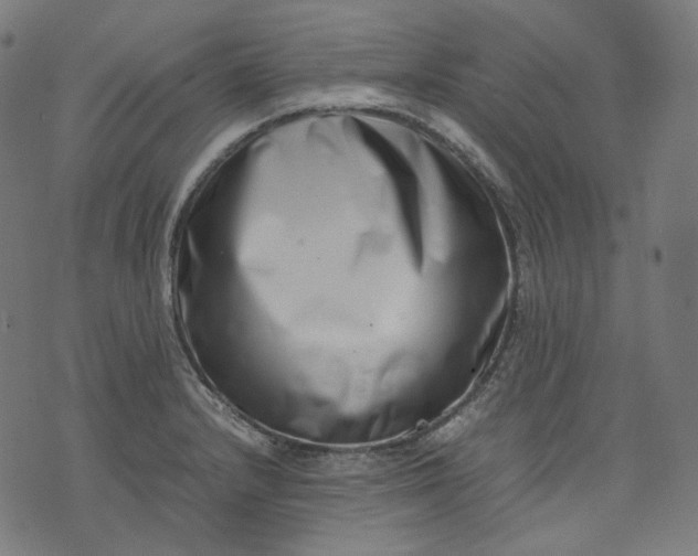 X0000074211232200609081523