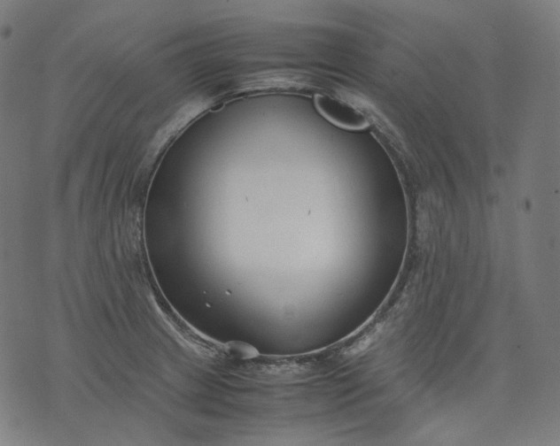 X0000074211233200609081523