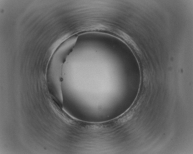 X0000074211234200609081523