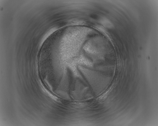 X0000074211235200609081523