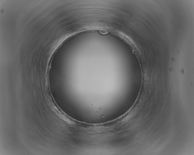 X0000074211236200609081523