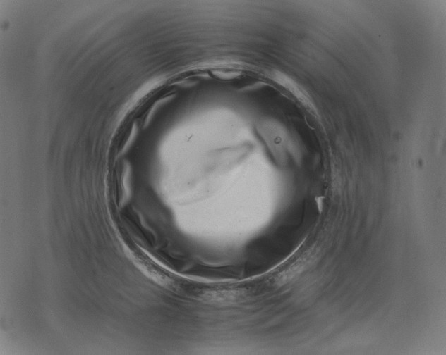 X0000074211237200609081523