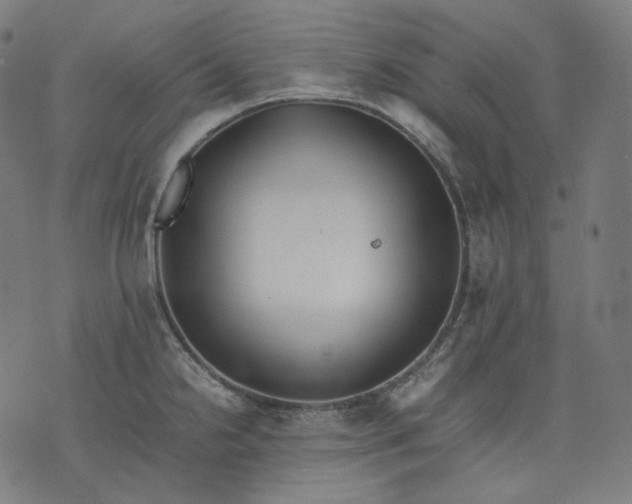 X0000074211238200609081523