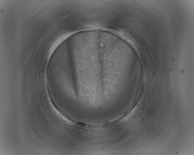 X0000074211239200609081523