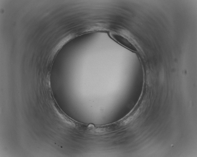 X0000074211241200609081523