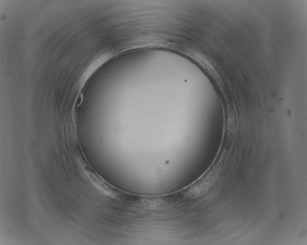 X0000074211242200609081523