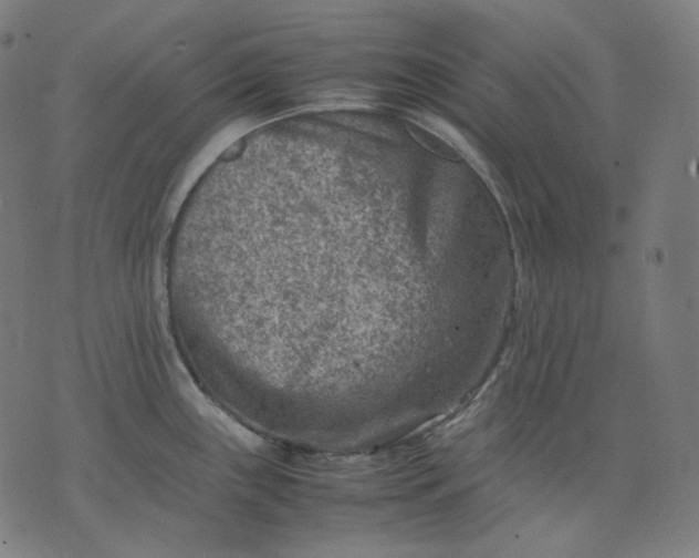 X0000074211243200609081523