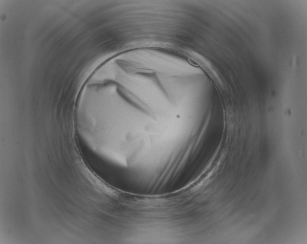 X0000074211244200609081523