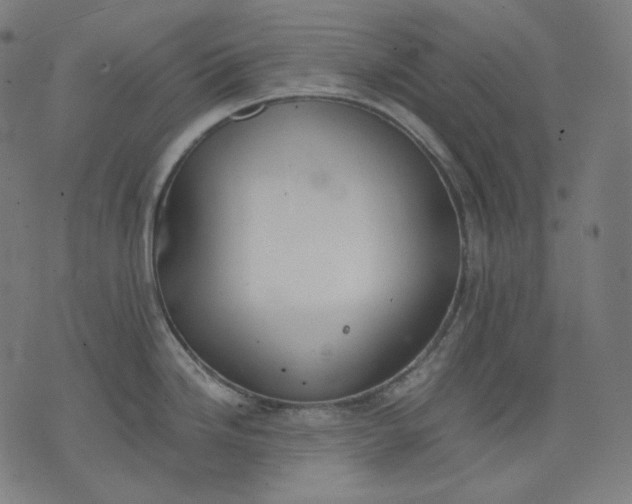 X0000074211246200609081523