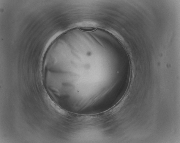 X0000074211248200609081523