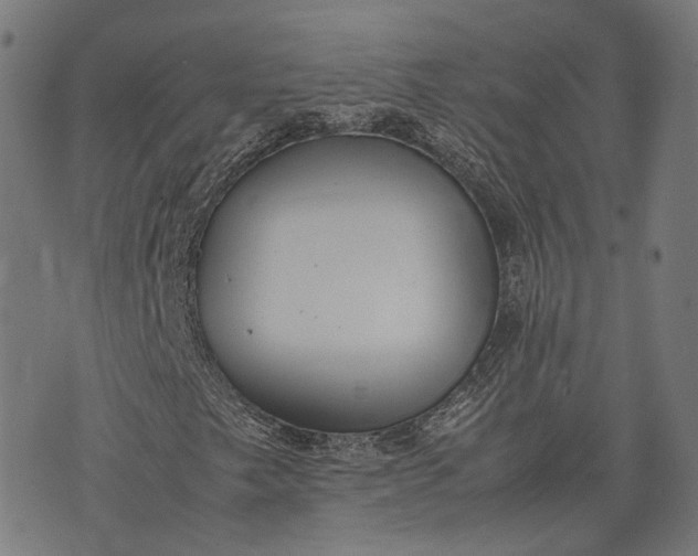 X0000074211249200609081522