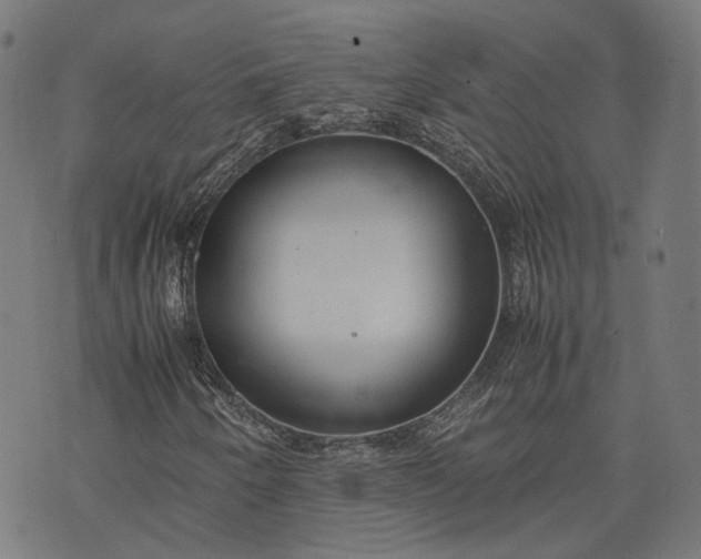 X0000074211250200609081522