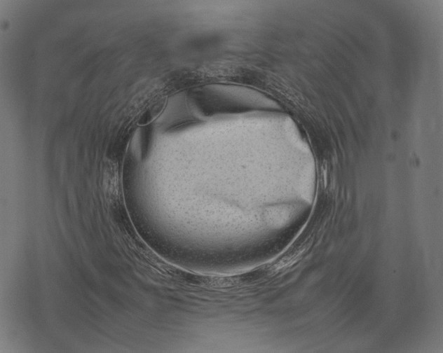 X0000074211251200609081522