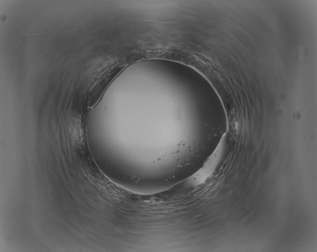 X0000074211252200609081522