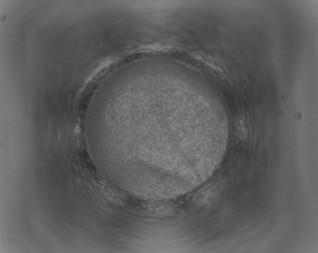 X0000074211254200609081522