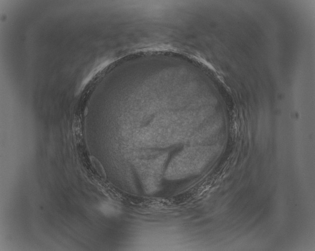 X0000074211255200609081522