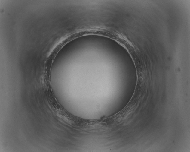 X0000074211256200609081522