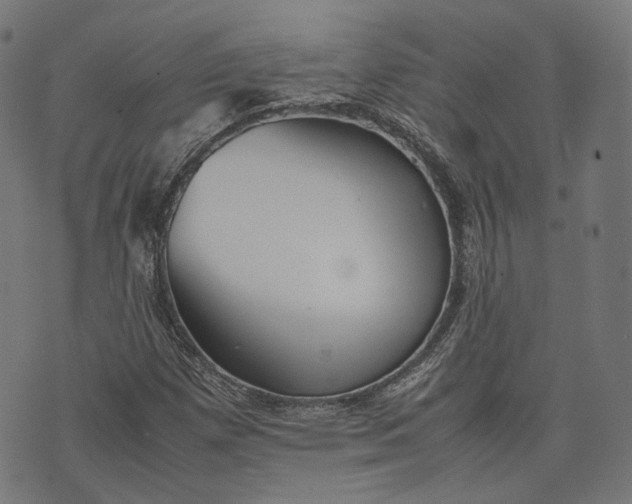 X0000074211257200609081522