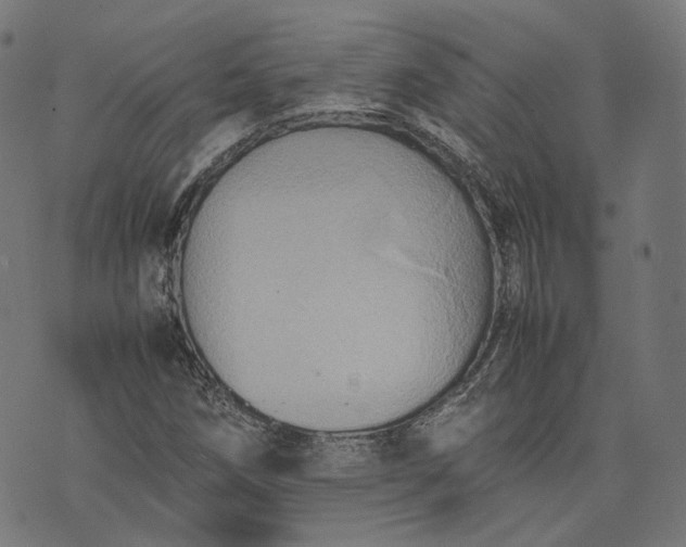 X0000074211258200609081522