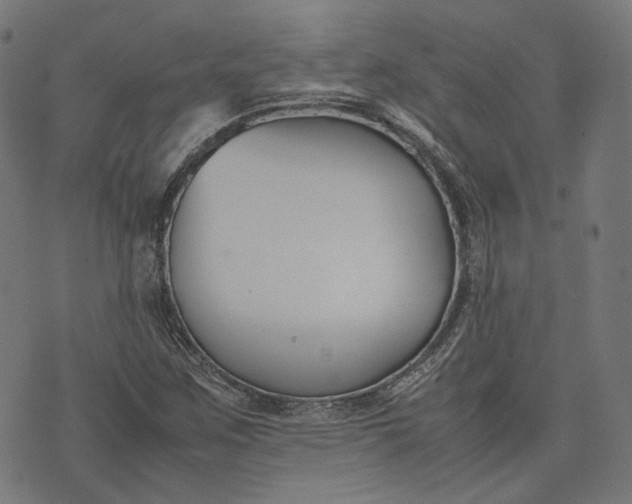 X0000074211259200609081522