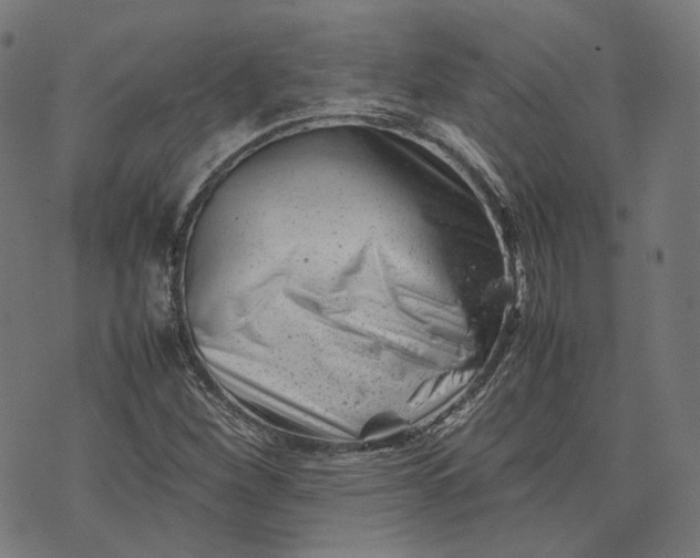 X0000074211260200609081522