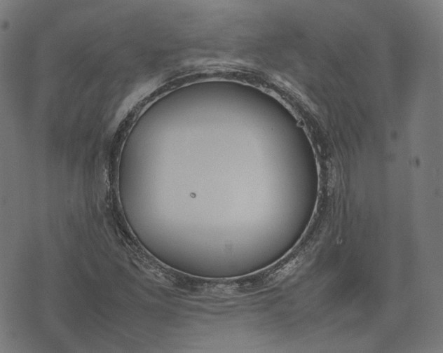 X0000074211261200609081522