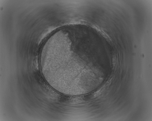 X0000074211262200609081522