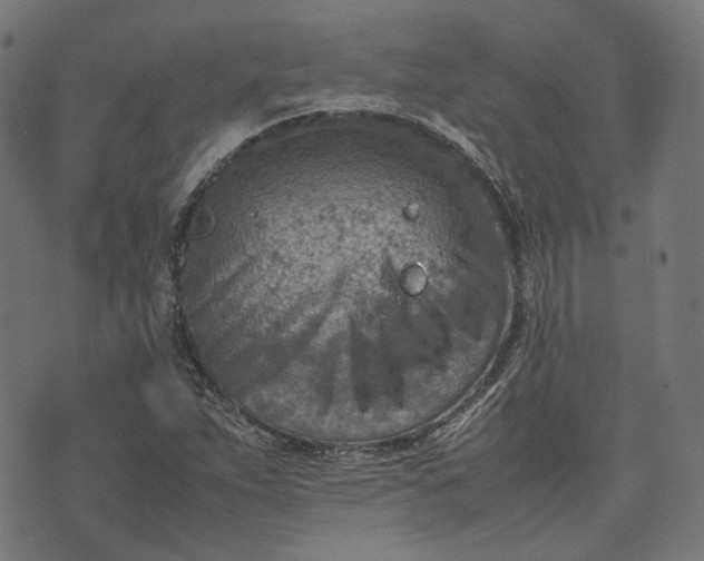 X0000074211263200609081522