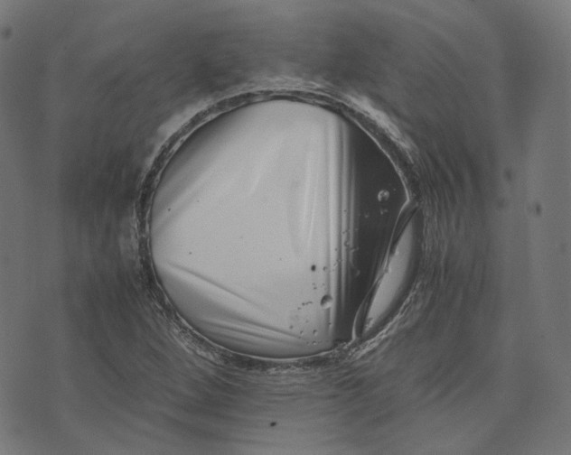 X0000074211264200609081522