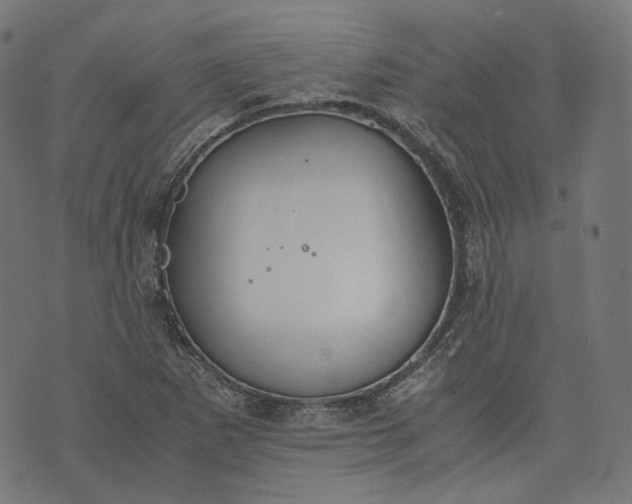 X0000074211265200609081522