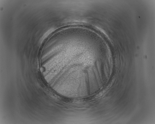 X0000074211267200609081522