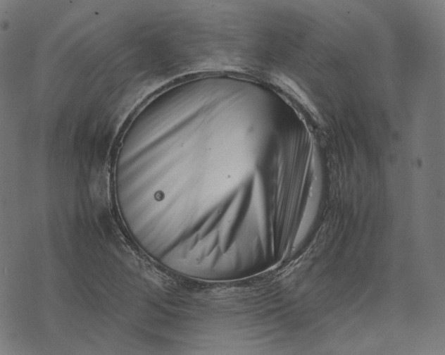 X0000074211268200609081522