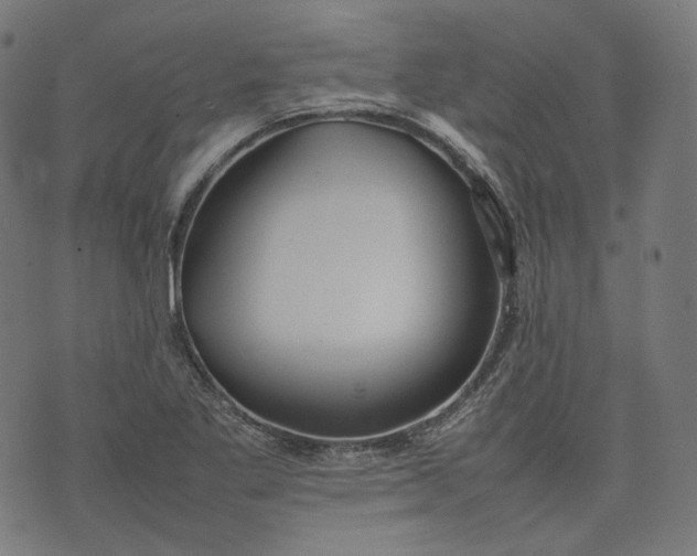 X0000074211269200609081522