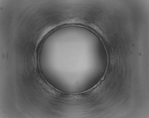 X0000074211270200609081522