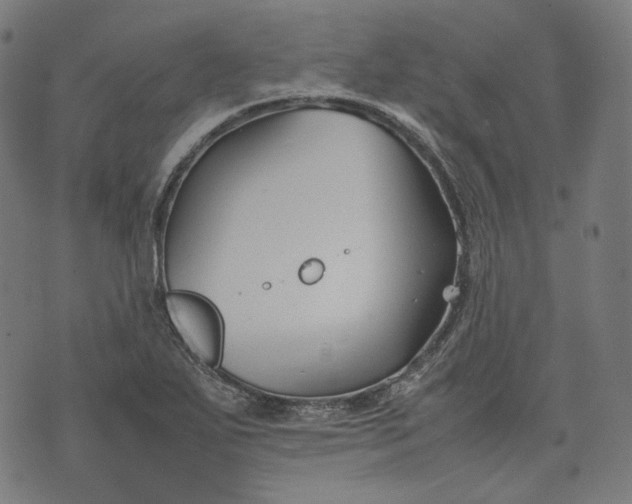 X0000074211271200609081522