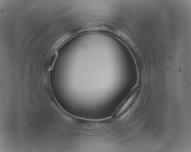 X0000074211273200609081522