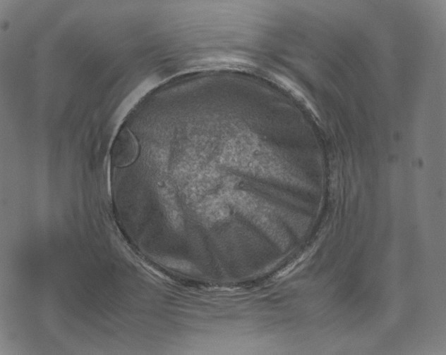 X0000074211275200609081522