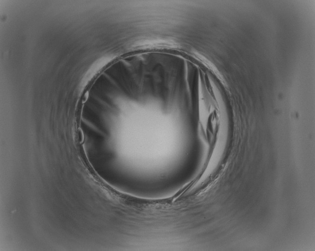 X0000074211277200609081522