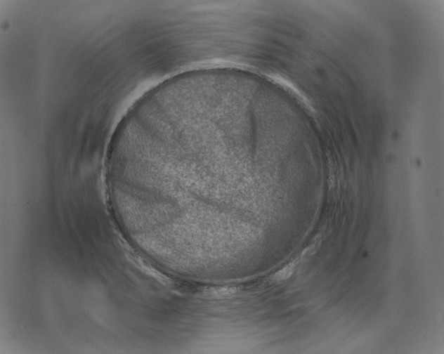 X0000074211278200609081522