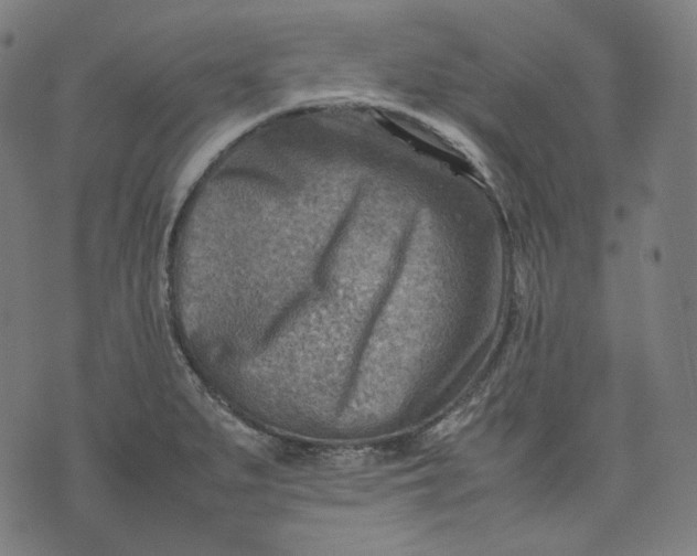 X0000074211279200609081522