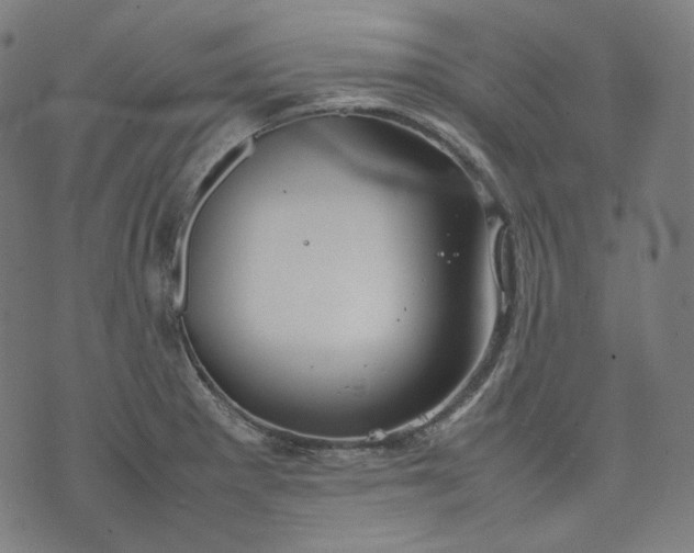 X0000074211281200609081522